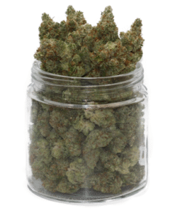 Scout Master Weed
