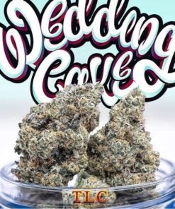 Jungle Boys Wedding Cake
