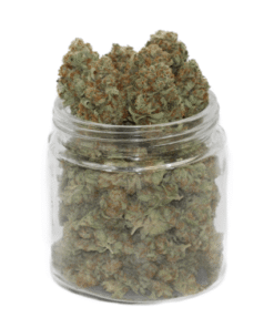 Golden Kush Weed