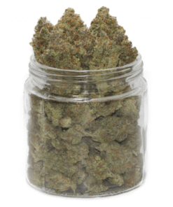 Orange Juice Weed