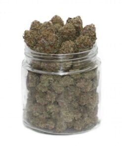 Purple Urkle Weed