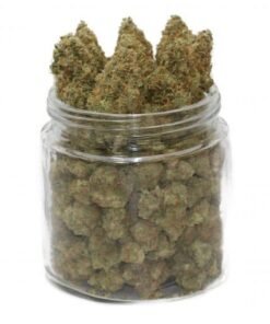 White Cheese Weed