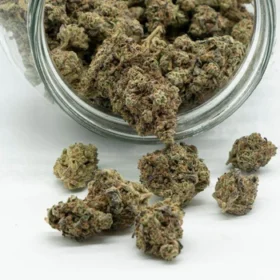 achat cannabis
